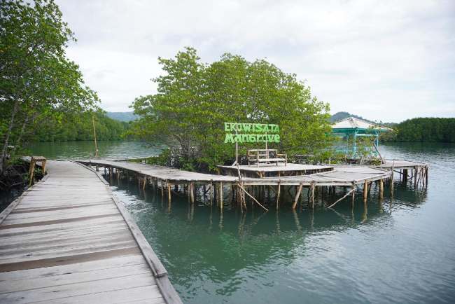 Alamat dan Lokasi Ekowisata Mangrove Togeo