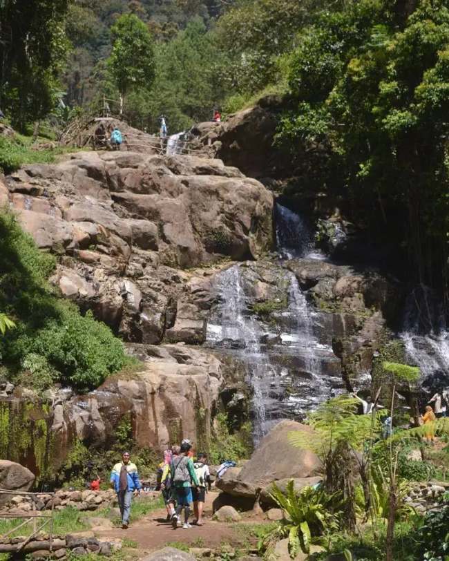 Curug Bellarosa