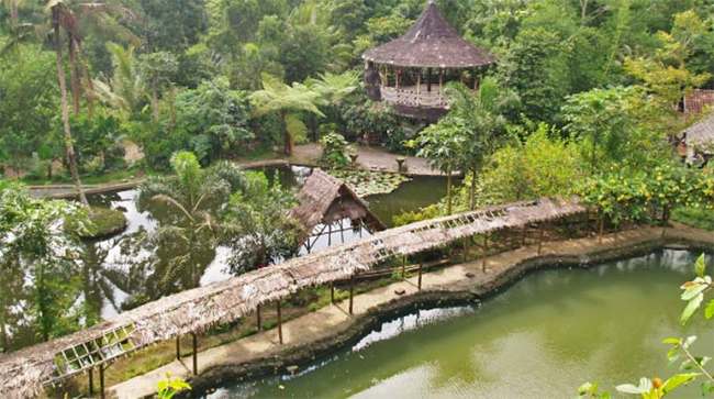 Desa-Wisata-Pentingsari