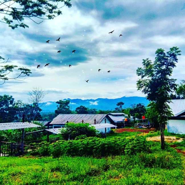Desa Wisata Sari Bunihayu
