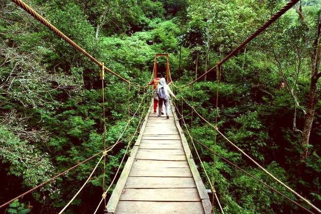 Hutan Raya Djuanda