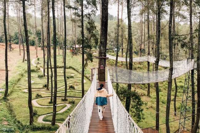 Orchid Forest Cikole