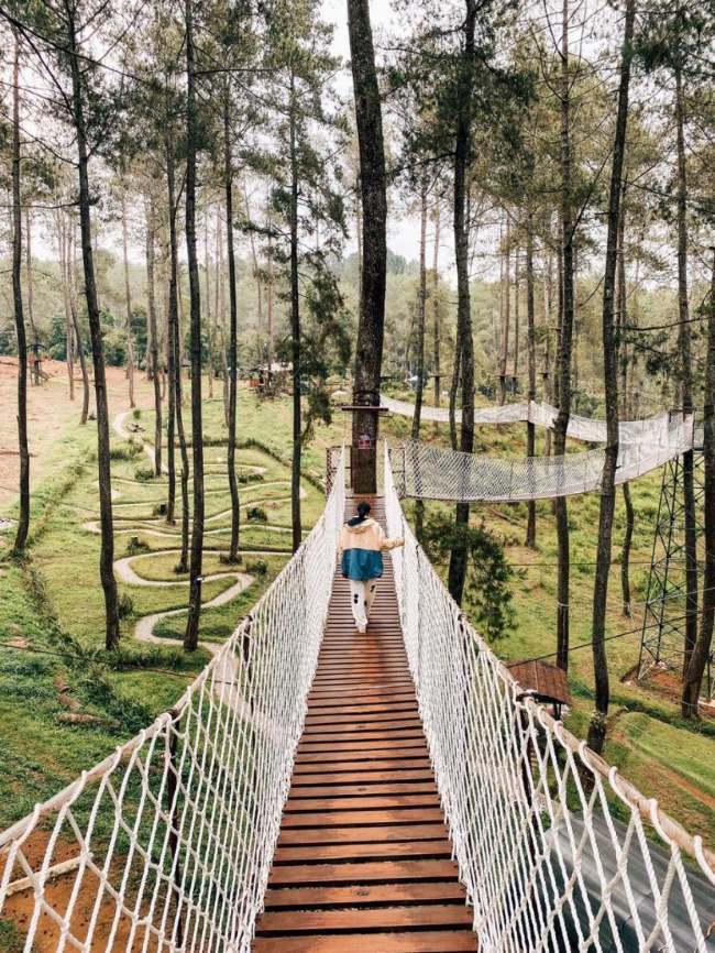 Orchid Forest Lembang