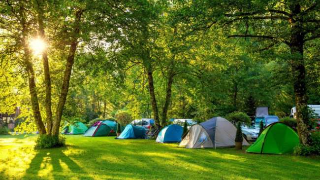 Pine Forest Camp Lembang