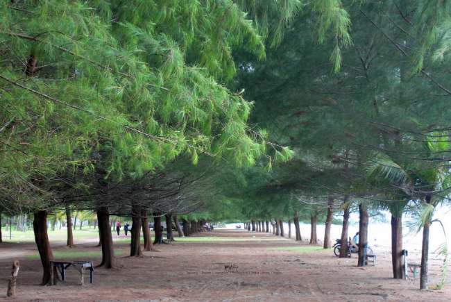 Sekilas tentang Pantai Pasir Jambak
