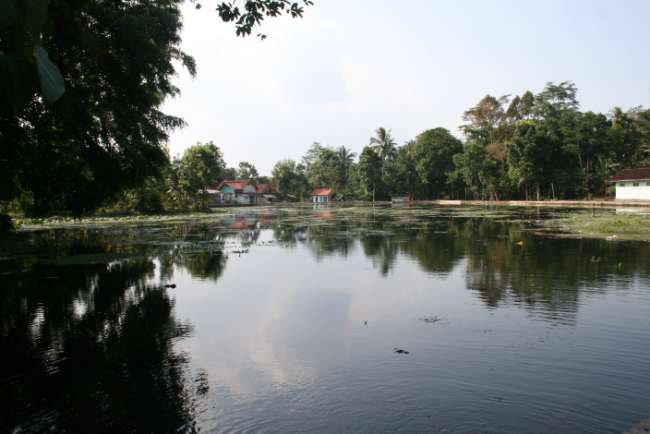 Situ Janawi