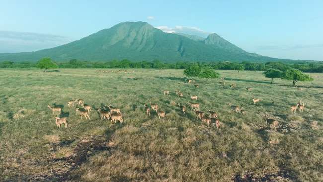 Taman Nasional Baluran