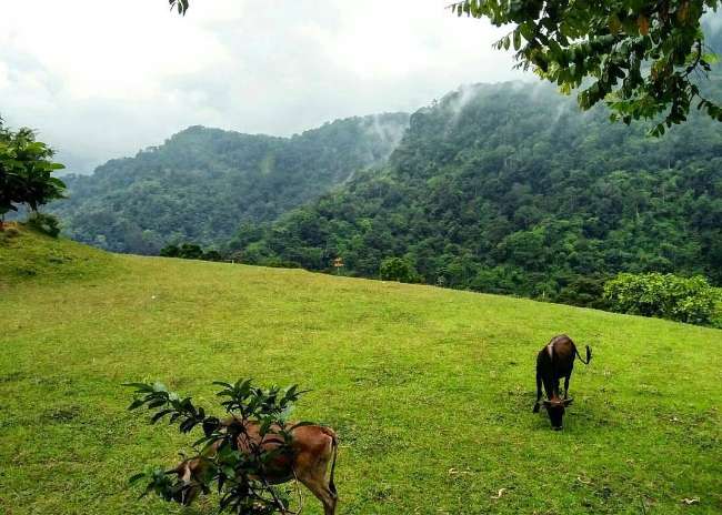 Wisata Alam Cadas Gantung